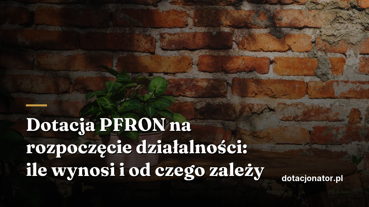 Dotacja PFRON na rozpoczęcie działalności: ile wynosi i od czego zależy