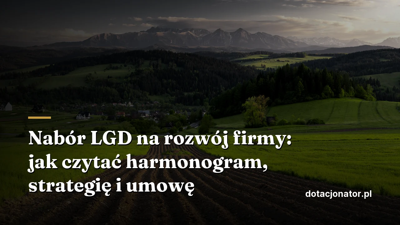 Nabór LGD na rozwój firmy: jak czytać harmonogram, strategię i umowę